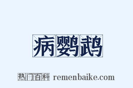 病鹦鹉是什么意思的图片